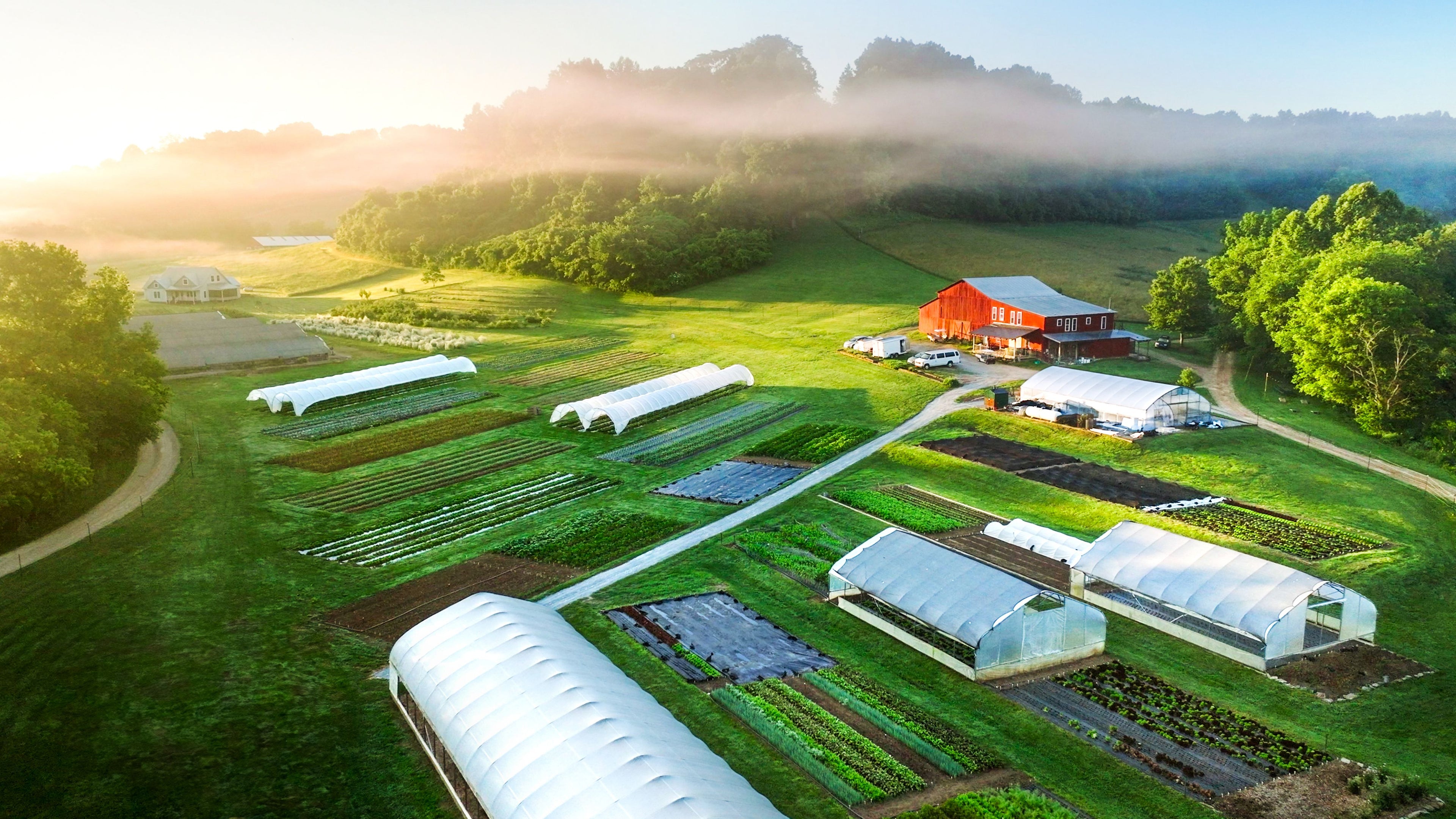 slider image slider_item_7eY7fn